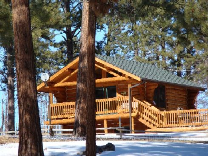 Lu Pine Log Cabin